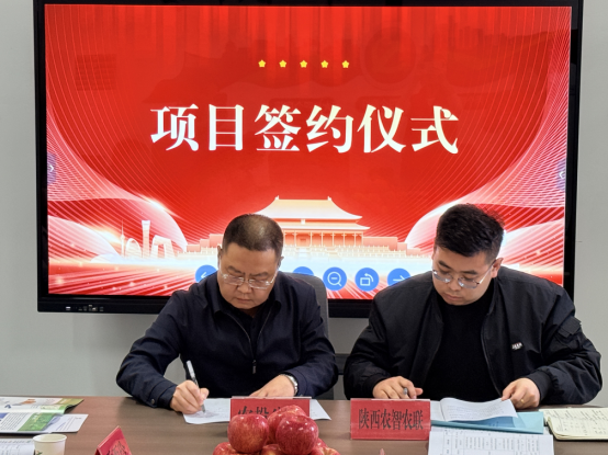 图片10