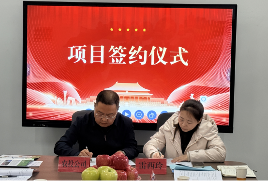图片11