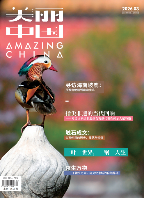 微信图片_20260523073828_259_22