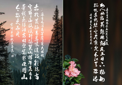 图片1